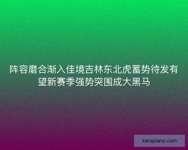 阵容磨合渐入佳境吉林东北虎蓄势待发有望新赛季强势突围成大黑马