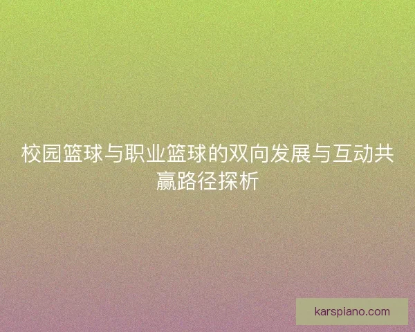 校园篮球与职业篮球的双向发展与互动共赢路径探析